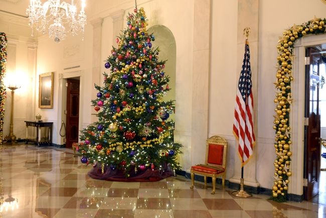 Christmas Trees Around The World